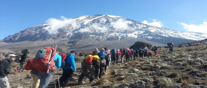 Mount Kenya Climbing Marangu Route