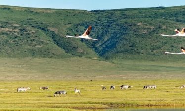 11-days-tanzania-safari-zanzibar-holiday