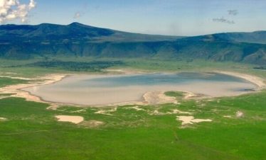 5 days Tanzania luxury driving safari 2026/2027