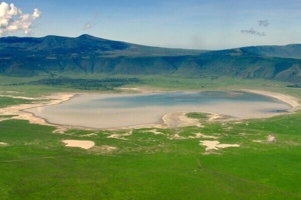 5 days Tanzania luxury driving safari 2026/2027