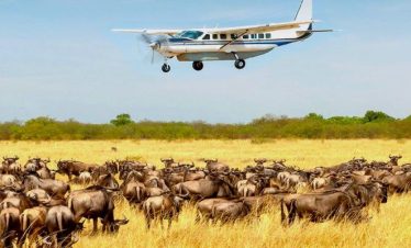 5 days Tanzania High end flying / Air safari packages