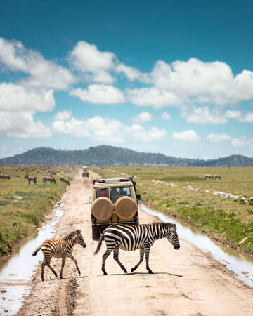 Tanzania High End Safari