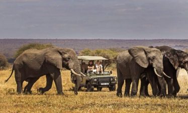13 days Tanzania Safari & Zanzibar Beach holiday