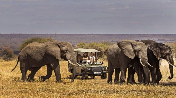 13 days Tanzania Safari & Zanzibar Beach holiday