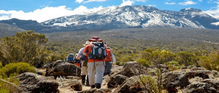 Mount Kilimanjaro Umbwe Route
