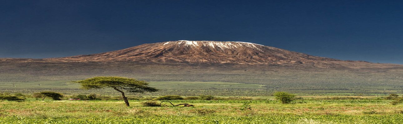 8 days Tanzania mid-range private driving safari 2026/2027