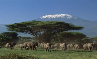 Climb The Rongai Route on Mt Kilimanjaro 2026/2027