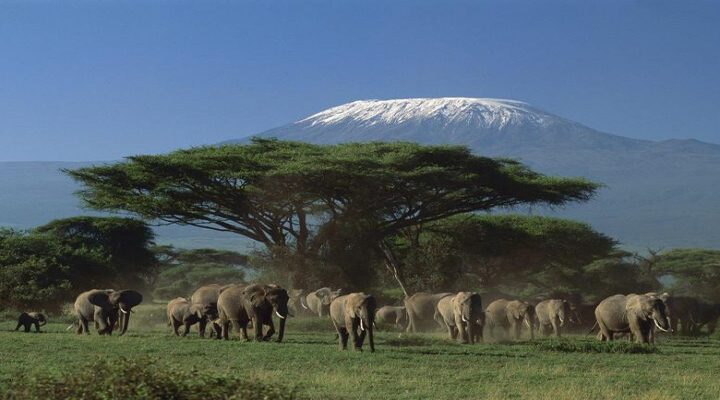 Climb The Rongai Route on Mt Kilimanjaro 2026/2027