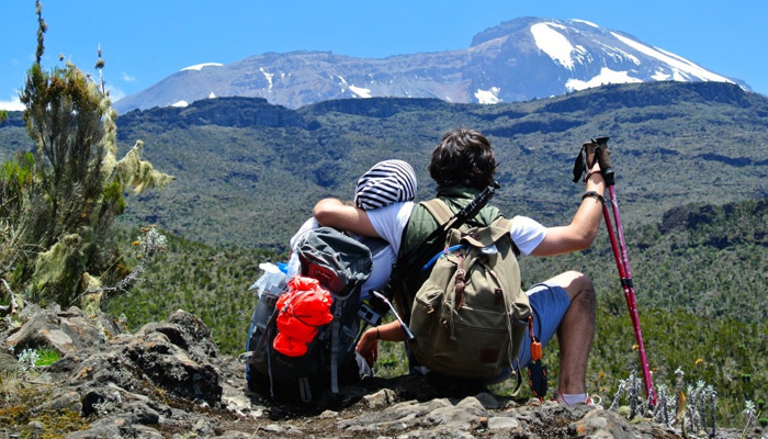 Mount Kilimanjaro Day Trip Trek