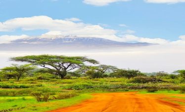Mount Kilimanjaro Marathon