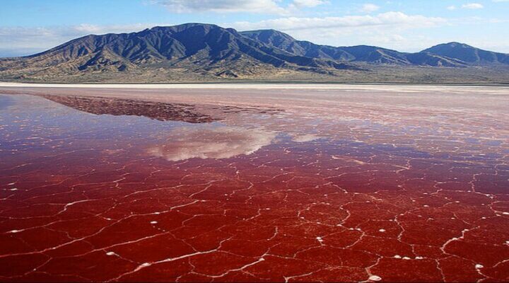 16 days Tanzania Safari & Zanzibar Beach luxury driving holiday