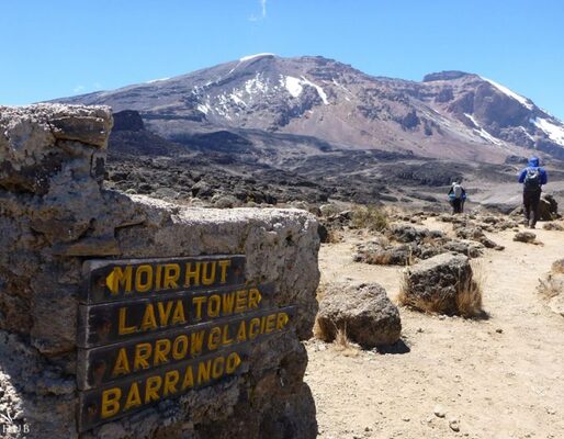 8-day Lemosho route to the summit of Mount Kilimanjaro Climb 2026/2027