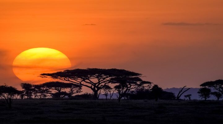 5 Days Tanzania Group Safari 2026/2027